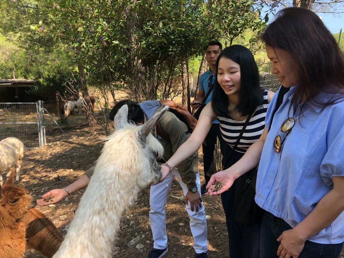 CAL PUIG, ENOTURISMO RURAL entre Viñas y Bosques Juncosa Exterior foto